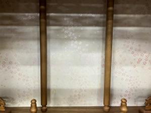 ���ʁu�����v�͗l